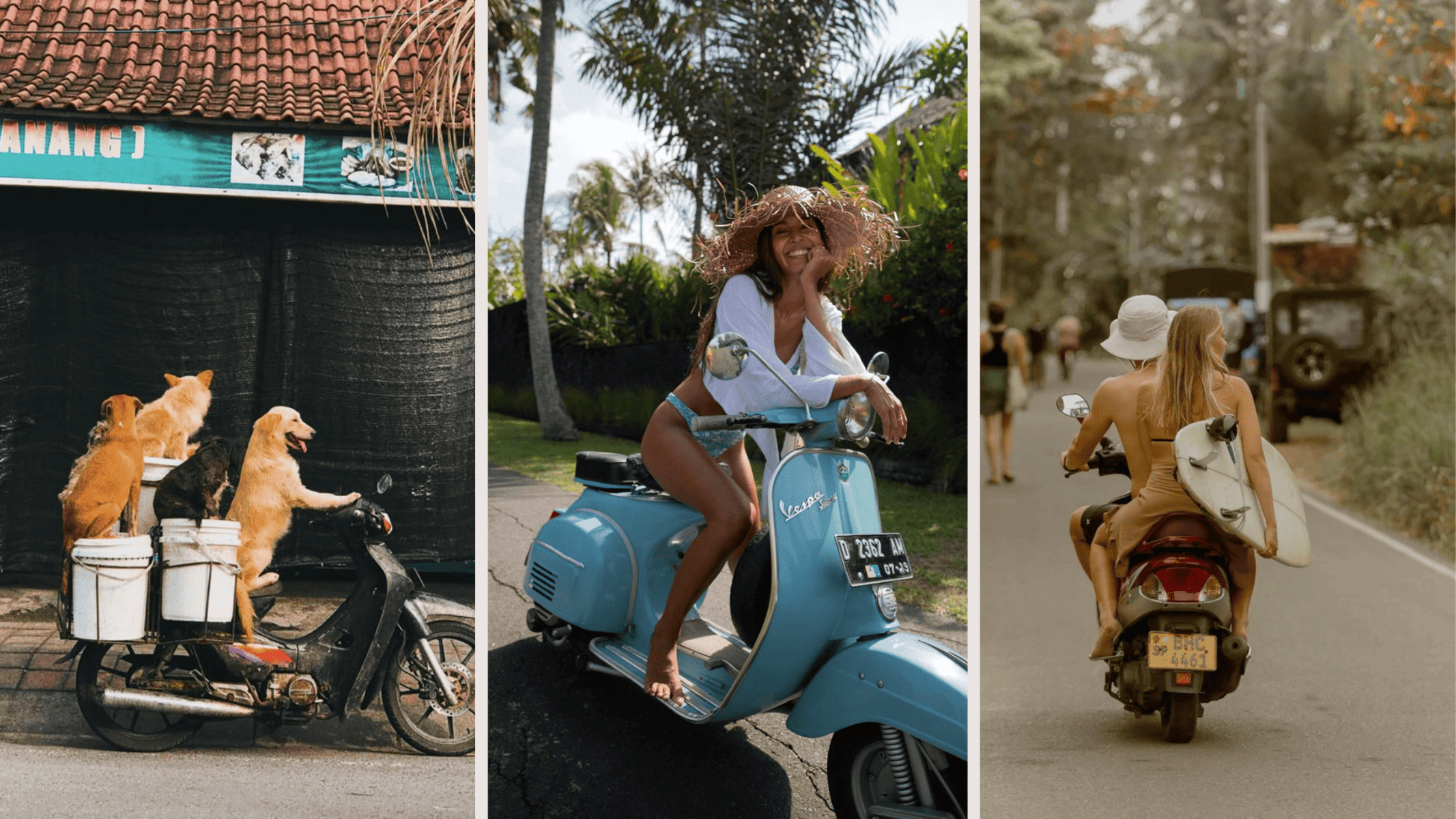 A traveler exploring the scenic coastal roads of Bali on a scooter rental, representing the freedom of a Bali bike rental adventure in 2026.